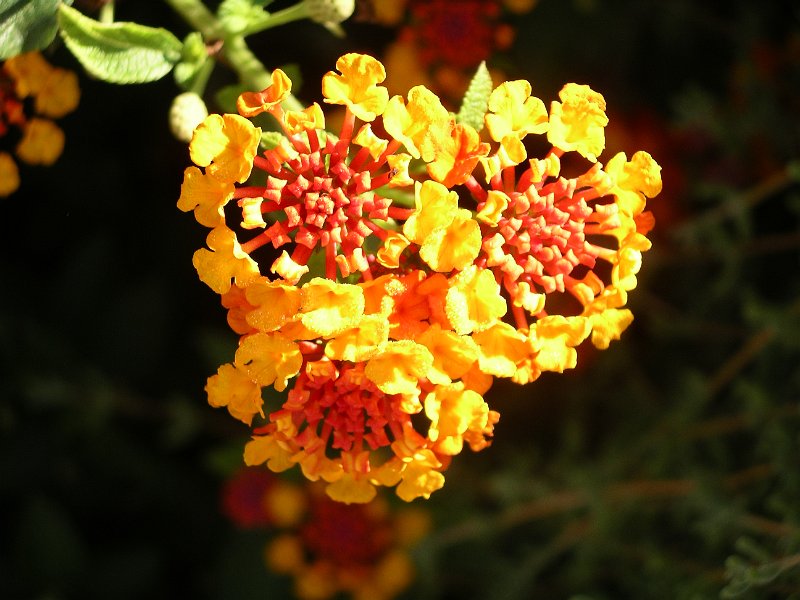 Spanje 2010 296.JPG